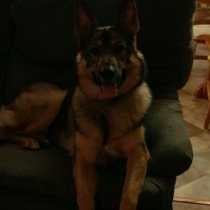 Meet your Posher, Kristen